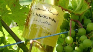 Southwind Vineyard & Winery