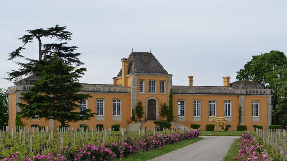 The Château Lafon Rochet sees its future in large scale and organic !