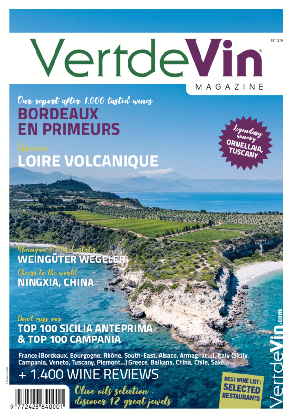 Vertdevin – N°29 PDF
